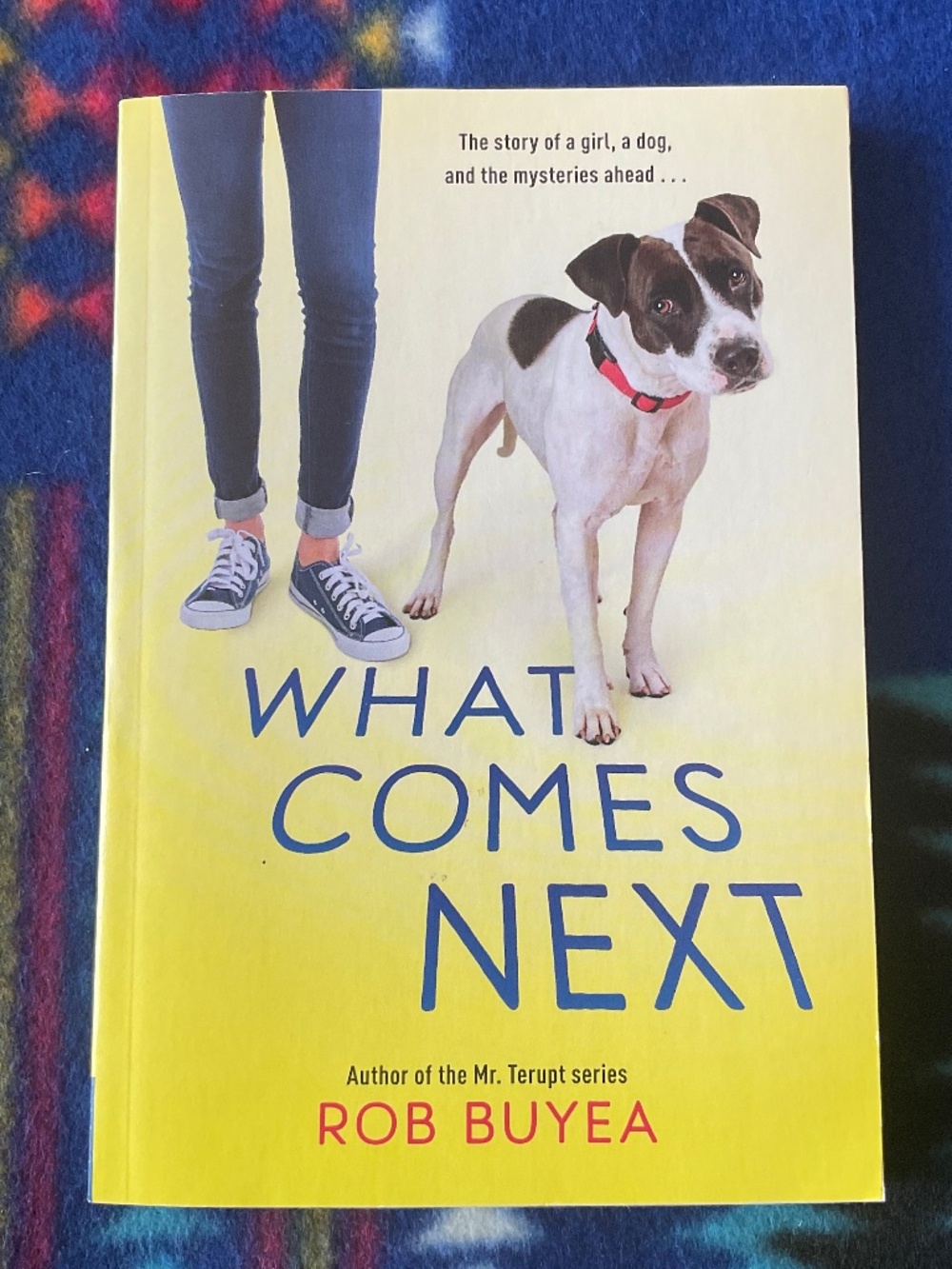 What comes next by Rob Buyea hardcover middle grade fictional novel